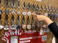 -和它·交个朋友·狗咖猫咖(爱琴海店)