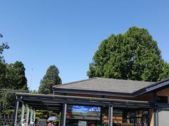 -紫竹院公园-东门停车场