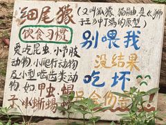 -无锡动物园·太湖欢乐园