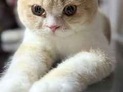 -嘉馨宠物医院·CT影像转诊·心脏科·犬猫全科诊疗中心(下沙大学城院区)
