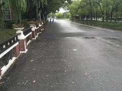-华东政法大学(松江校区)