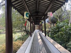 -上海醉白池公园