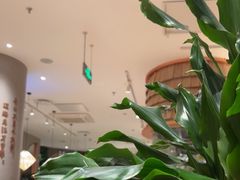 -云海肴·汽锅鸡·云南菜(领展购物广场·中关村店)