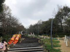 -杭州少年儿童公园