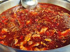 -金鼎雪山牦牛杂火锅(理县总店)