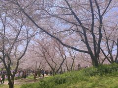 -苏州上方山国家森林公园