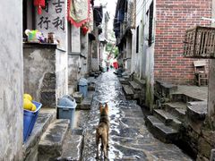 -上甘棠村