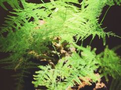 -水之惠鲜鱼料理(王府大街店)