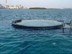 -苏州金鸡湖中茵皇冠假日酒店