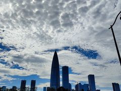 -深圳湾公园(南山区)