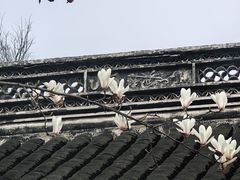 -惠山古镇·寄畅园