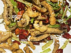 干煸鱿鱼须-大铁勺新津菜(东丽阳光新业广场店)