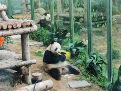 -大连森林动物园