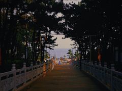 -林海公园