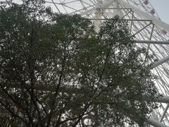 -弘阳·未来世界(弘阳广场店)