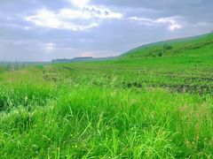 -塞罕坝国家级自然保护区