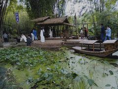 -望江楼公园