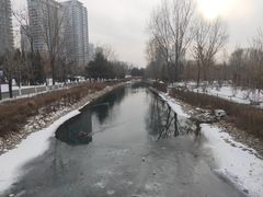 -长白岛森林公园
