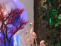 -济州岛汤泉(广宜店)