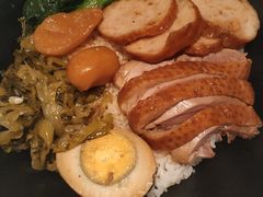 -MR鹅外