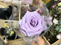 -雕刻时光咖啡馆(北苑店)