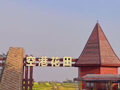 -空港花田景区