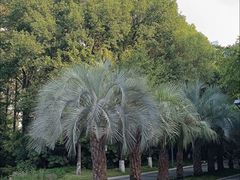 -苏州河梦清园环保主题公园