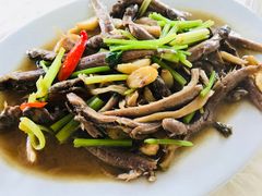 紅？魚-老三鱼仔店