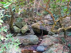 -广州市帽峰山景区