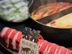 -大龙燚·旷野鲜火锅(广州首店)