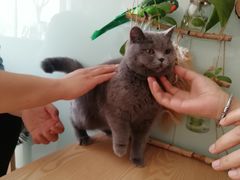 -平行世界·猫咖(首经贸店)