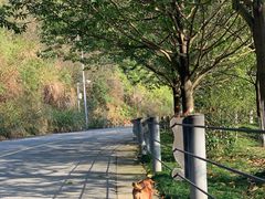 -三匠寿司屋(吾悦广场店)