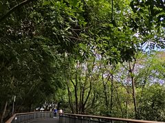 -金鸡山公园
