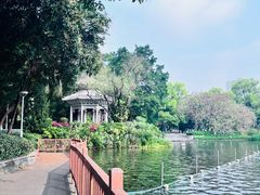 -荔湾湖公园