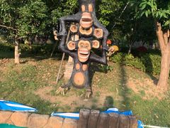 -苏州乐园森林水世界