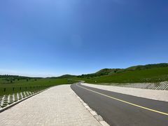 -塞罕坝国家级自然保护区