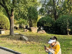 -杏花村文化旅游区