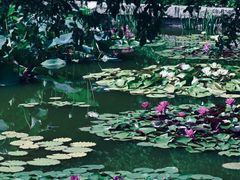 -国家植物园南园