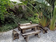 -厦门园林植物园-植物园滴水山房