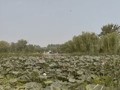 -太阳宫公园