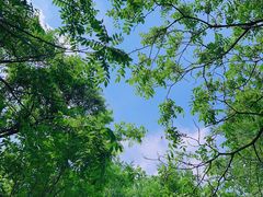 -玉渡山自然风景区