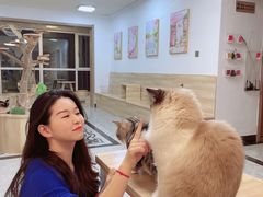 -有猫儿腻咖啡厅.猫咖