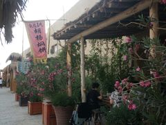 门面-沙洲胡杨焖饼