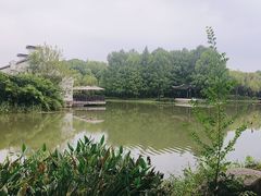 -巡塘古镇
