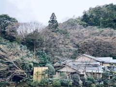 -月光园游月山庄