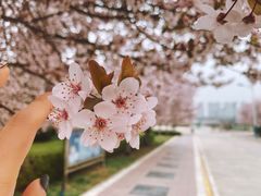 -长安大学(北校区)