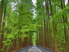 -青山湖景区