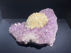 -山东博物馆