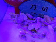 -小天鹅戴斯酒店鲸鲨百汇创作料理