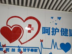 -守诺宠物医院·眼科· 特色牙科·异宠专科(虹口店)